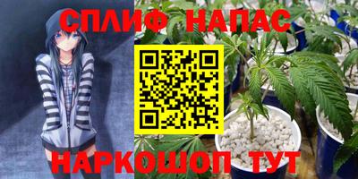 герыч Моздок