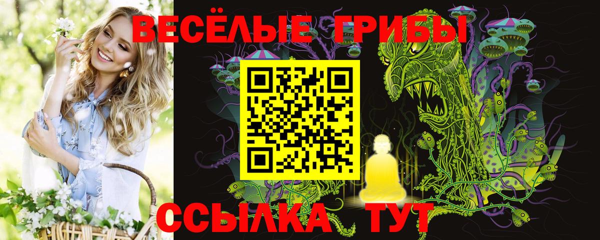Галлюциногенные грибы Cubensis Борзя