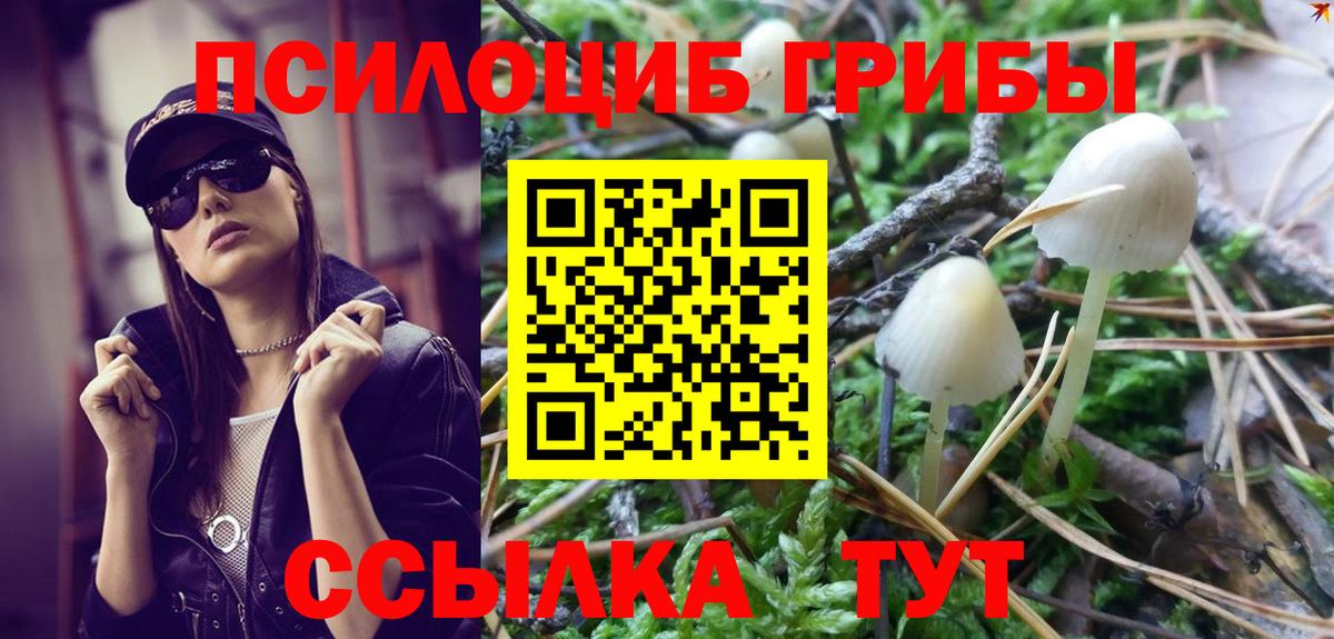 Псилоцибиновые грибы Cubensis  Вход с VPN  Галлюциногенные грибы Magic Shrooms  Борзя 